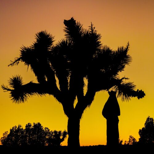 Edited-Mary-Sunset-1